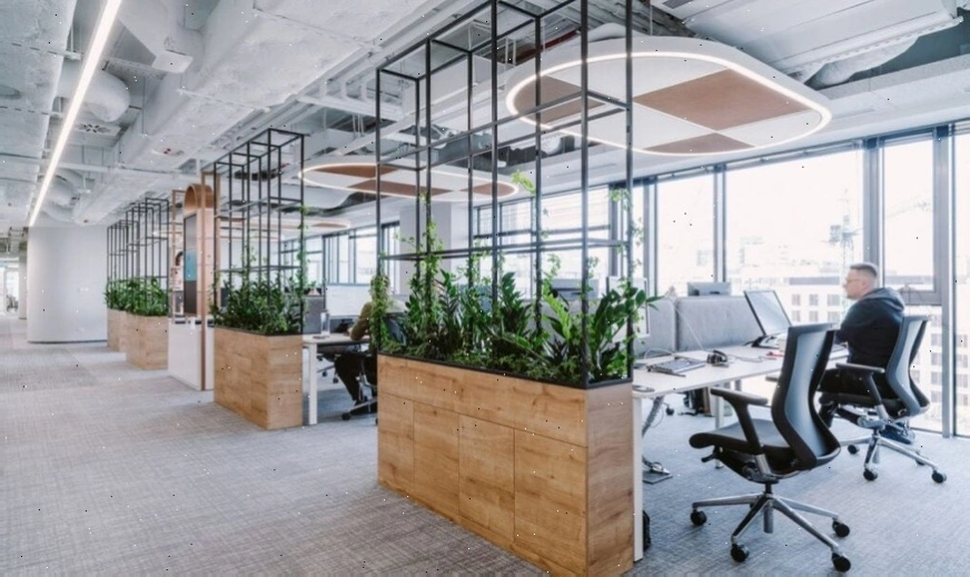 modern startup office consultation